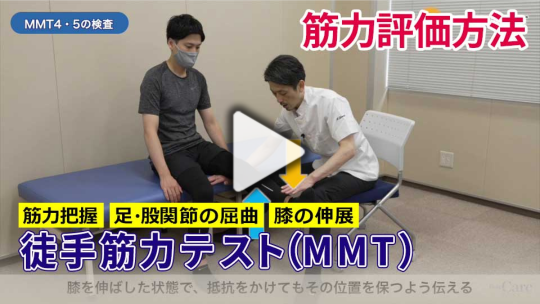 筋力のアセスメント：下肢のMMT（徒手筋力テスト）