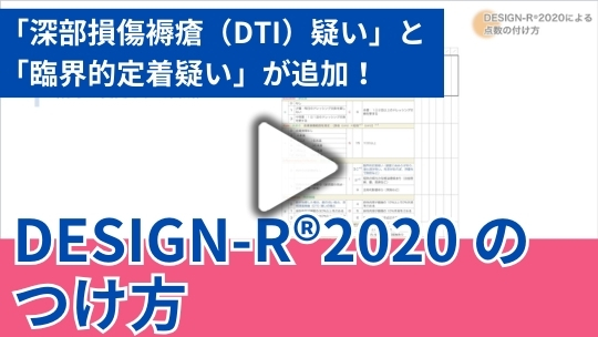 3. DESIGN-R®2020 による点数の付け方