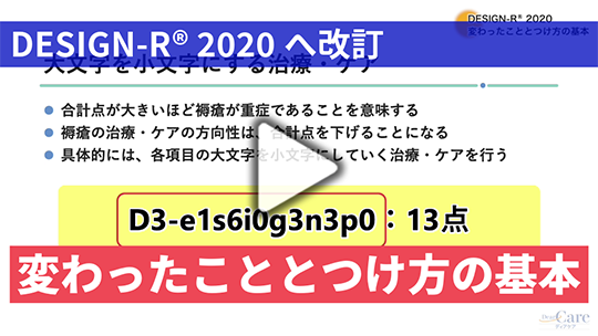 2. DESIGN-R® 2020　変わったこととつけ方の基本