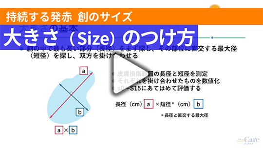 5. 大きさ（Size）のつけ方