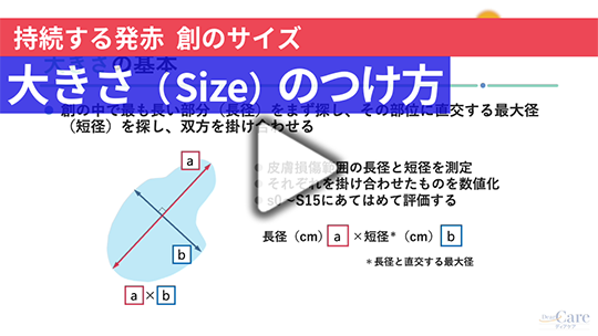 5. 大きさ（Size）のつけ方