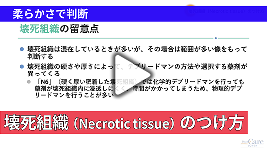 8. 壊死組織（Necrotic tissue）のつけ方