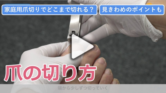 5. 爪の切り方