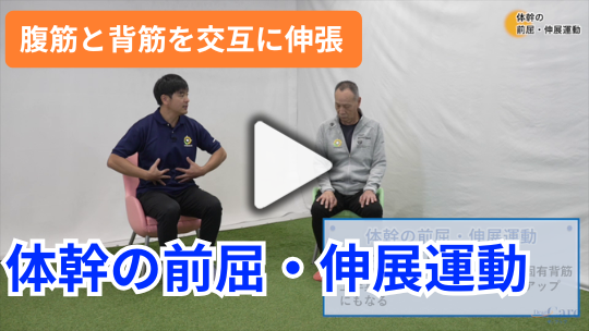 2.体幹の前屈・伸展運動
